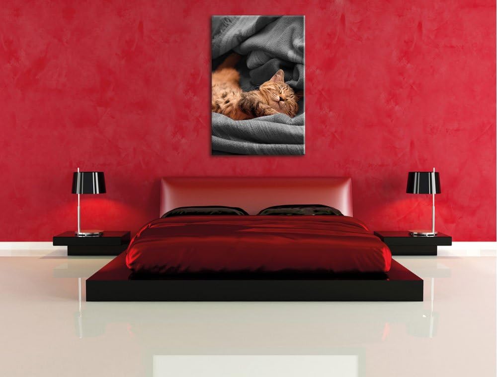Pixxprint Bezaubernde schlafende Katze schwarz/weiss, Format: 80x120 auf hochkantiges Leinwand, ries