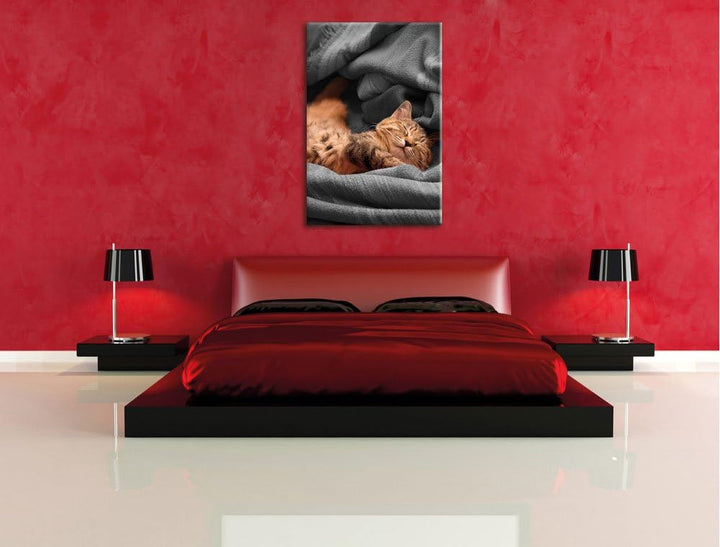 Pixxprint Bezaubernde schlafende Katze schwarz/weiss, Format: 80x120 auf hochkantiges Leinwand, ries