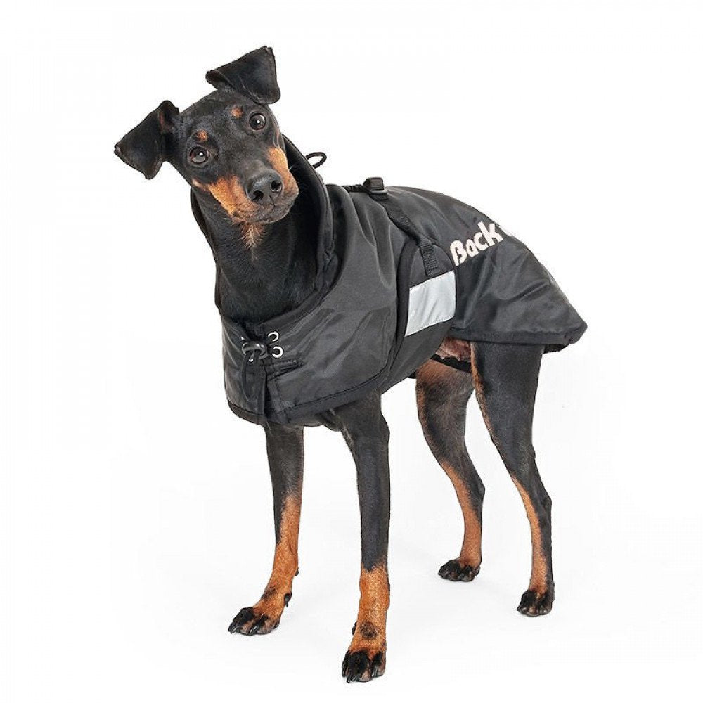 Animo Connect Hundemantel, Standard, Einheitsgrösse