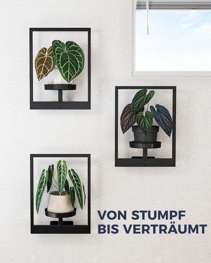 Bamworld Wandbehang Pflanzgefässe für Zimmerpflanzen 3 Set Wand Blumenständer Moderner Pflanzenständ