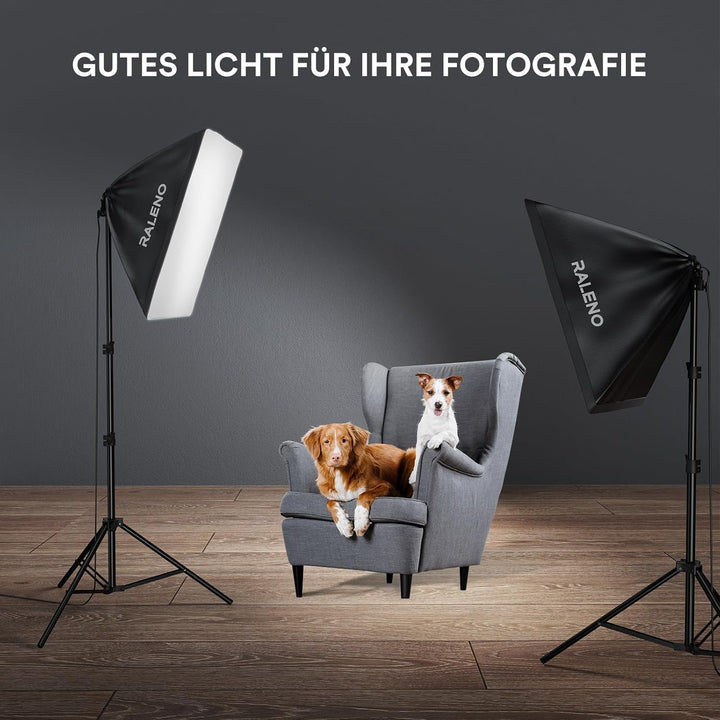 RALENO Softbox Kit, 85W CFL Softbox, daurlicht vdieo licht Fuer YouTube/INS Photografieren PS30, PS3
