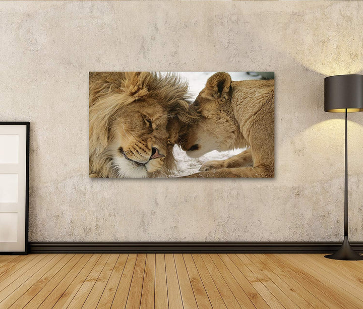 islandburner Bild auf Leinwand Löwe Und Löwenhaftigkeit Bilder Wandbilder Poster Leinwand 100x57cm,