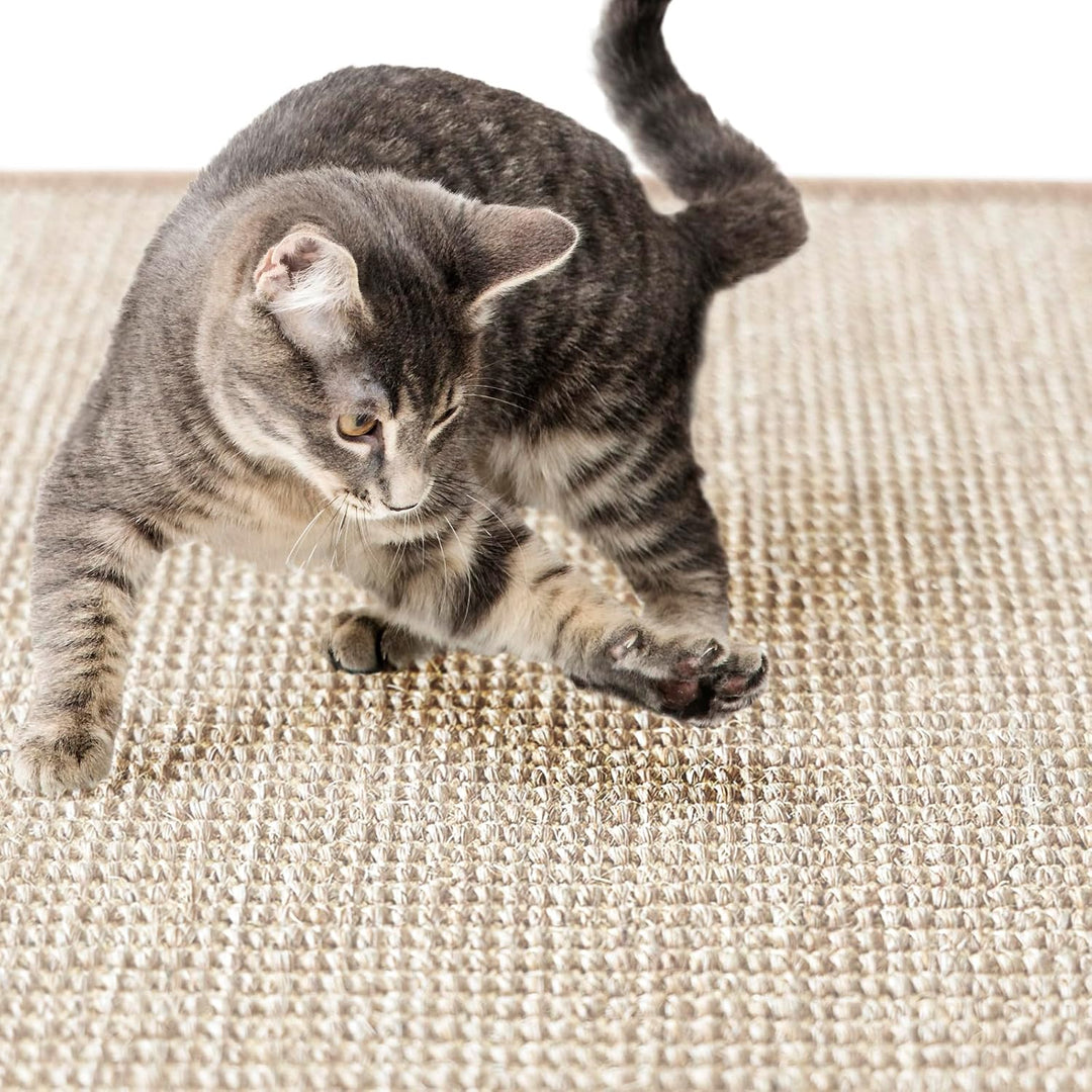 casa pura Katzen Kratzmatte rund 120cm Ø aus Natur Sisal Kratzteppich Kratzmöglichkeiten für Katzen