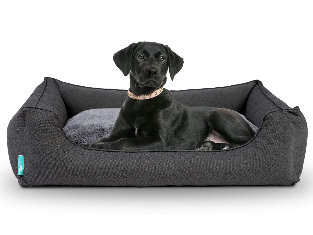 Hyggins Dreamer Perfect Hundebett | Wendekissen orthopädisch | Bezug abnehmbar und waschbar | Boden