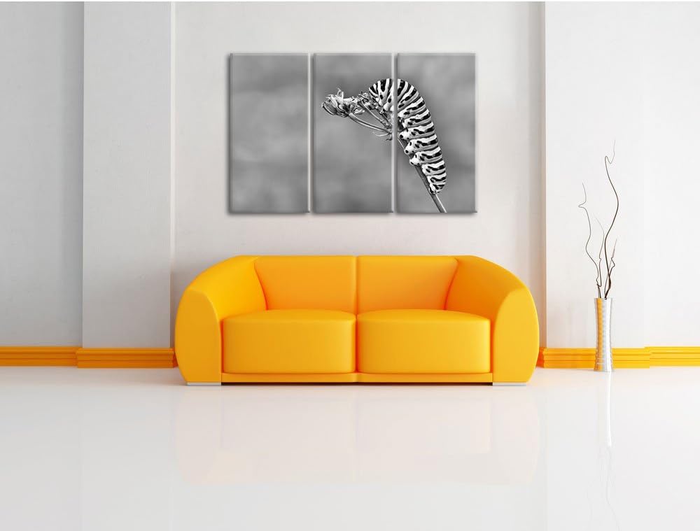 Pixxprint Monocrome, Grüne Raupe auf AST Insekten Urwald Tiere 3-Teiler Leinwandbild 120x80 Bild auf