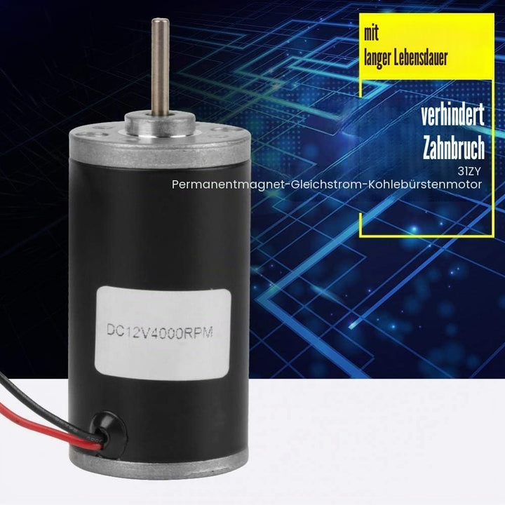 Dauermagnet DC Motor 31ZY 6V / 12V / 24V 3500-8000RPM Hochgeschwindigkeits-Reversible Elektrische CW