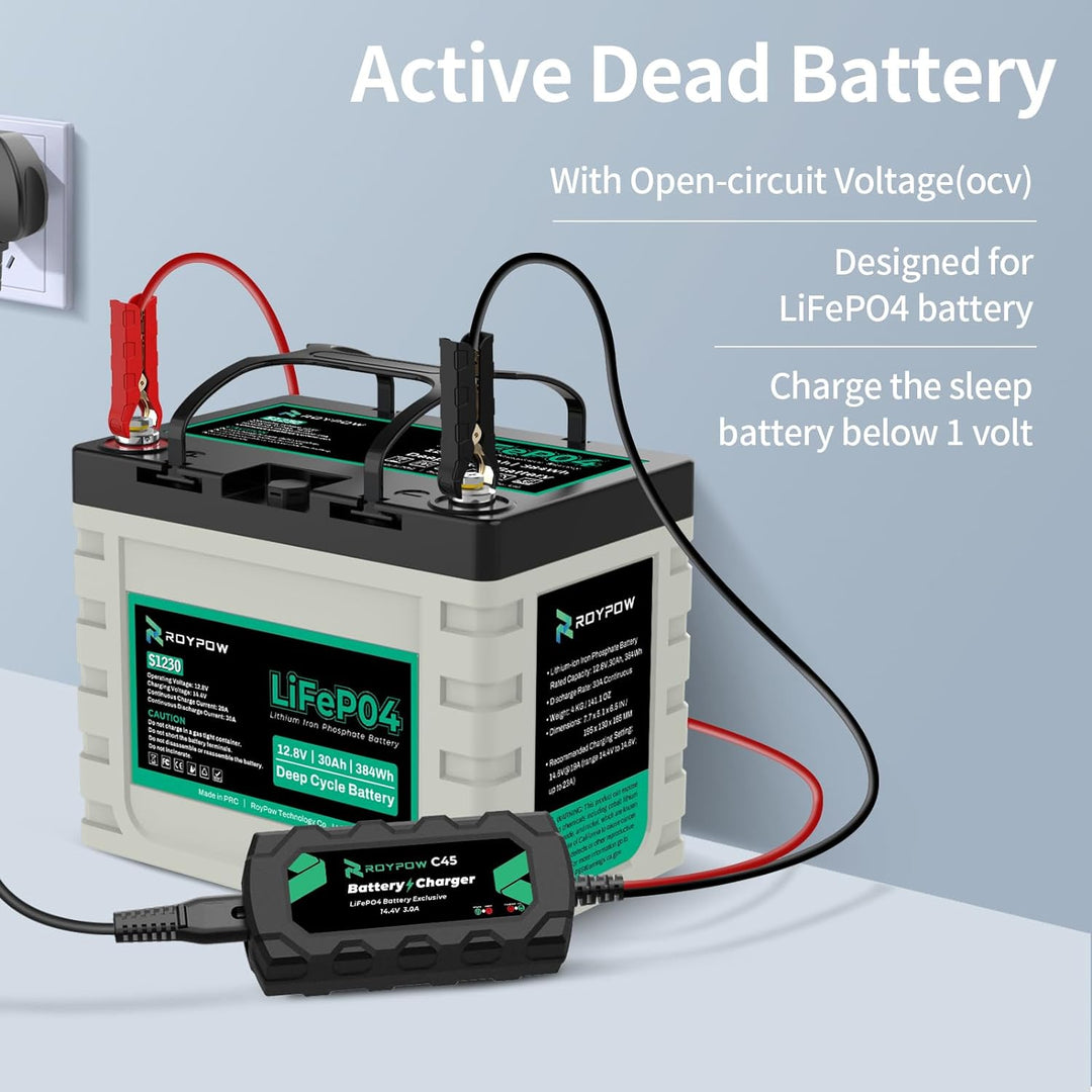 LiFePO4 Ladegerät 12V Lithium Batterieladegerät, RoyPow 3A Erhaltungsladegerät Batterie-Erhaltungsge
