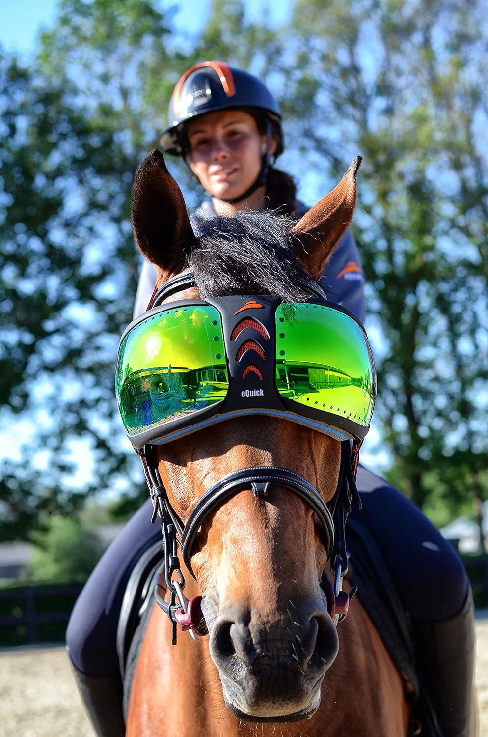 EQUICK Brille Pferd eVysor