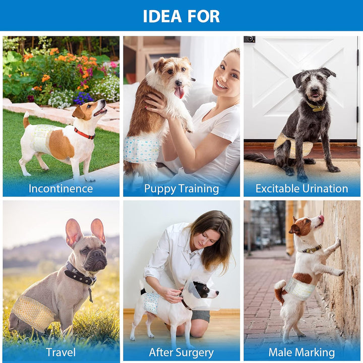 Pet Soft Hundewindel für Rüden, Einweg-Windel für Rüden, Rüdenwindeln, Super saugfähig und auslaufsi