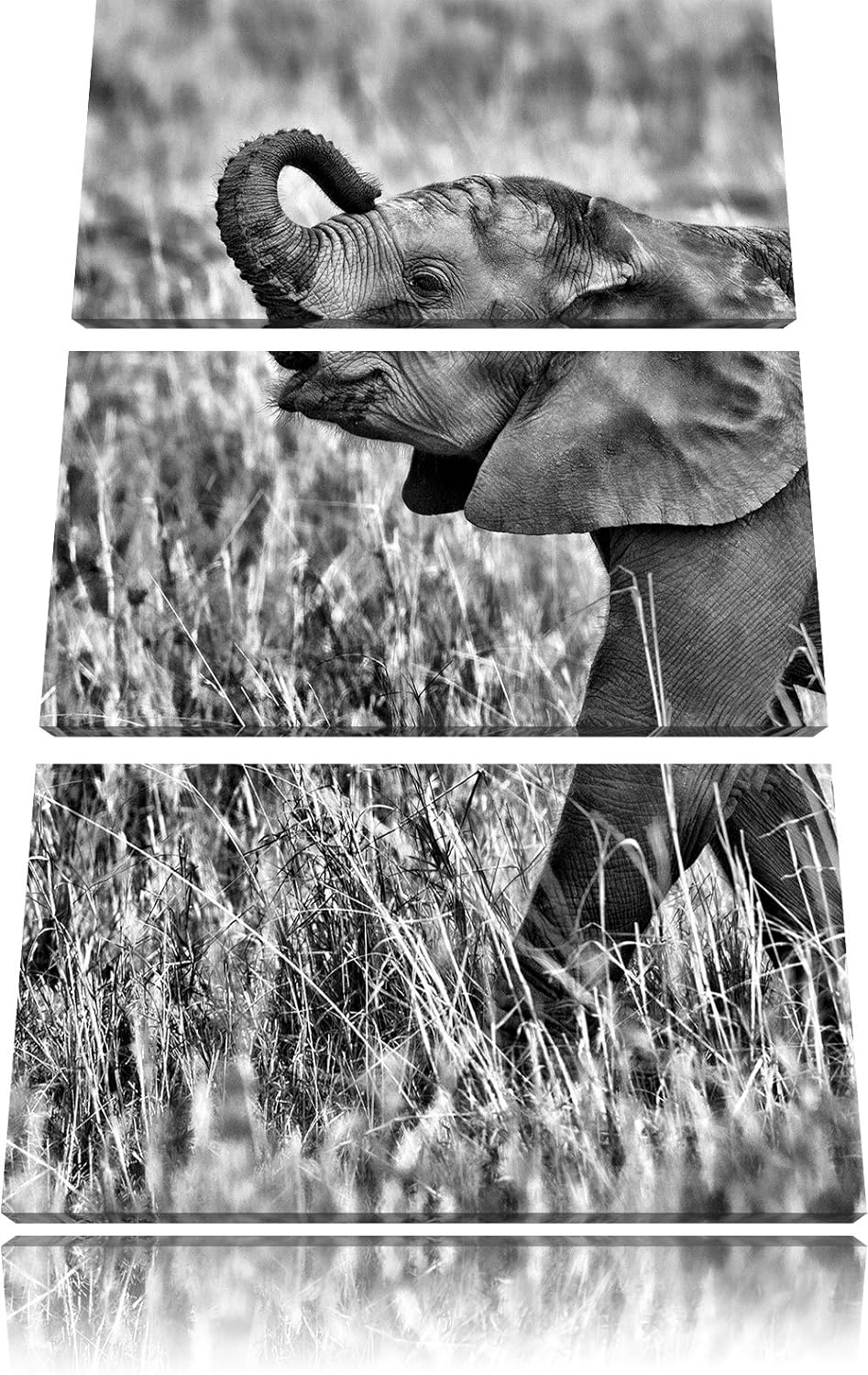 Pixxprint kleines Elefantenjunges als Leinwandbild/Grösse: 3 Teilig (120x80) cm/Wandbild/Kunstdruck/
