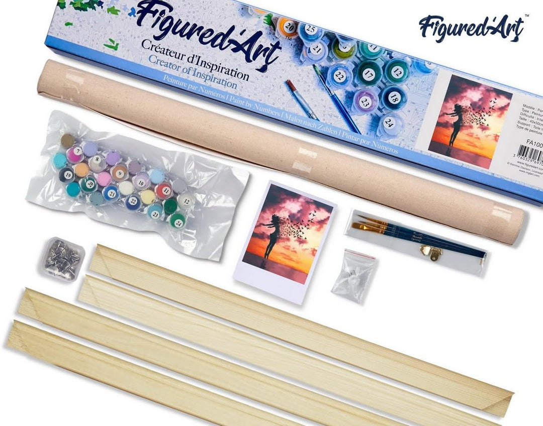 Figured'Art Malen Nach Zahlen Erwachsene Mit Rahmen Frau und Vögel - Paint by Numbers Basteln DIY Ba
