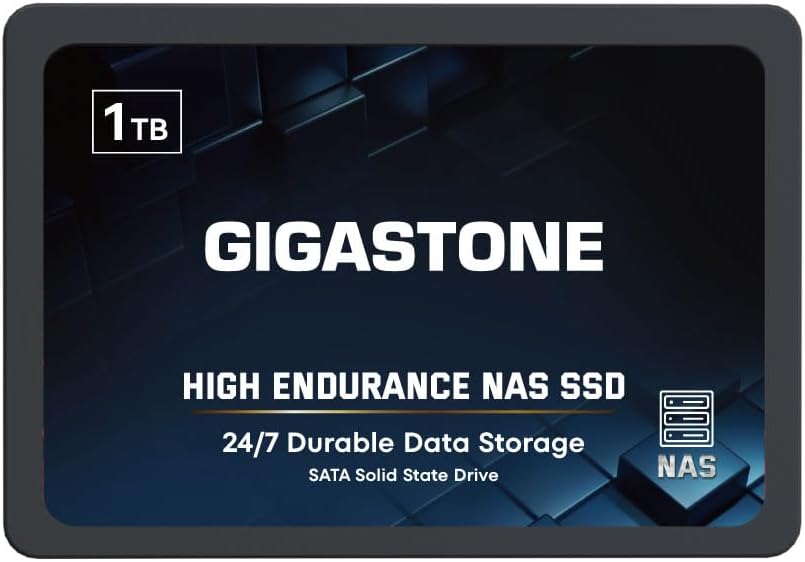 Gigastone NAS SSD 1TB Enterprise SSD Festplatte TLC Hohe Dauerhaltbarkeit Server SSD für 24/7 Dauerb