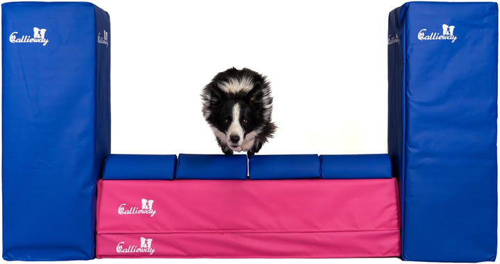 Callieway Turnier Agility Mauer „Bounce Over - Soft“ – alle FCI Sprunghöhen (Fuchsia/blau), fuchsia/