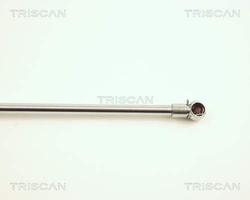 Triscan 871027209 Gasfeder Kofferraum