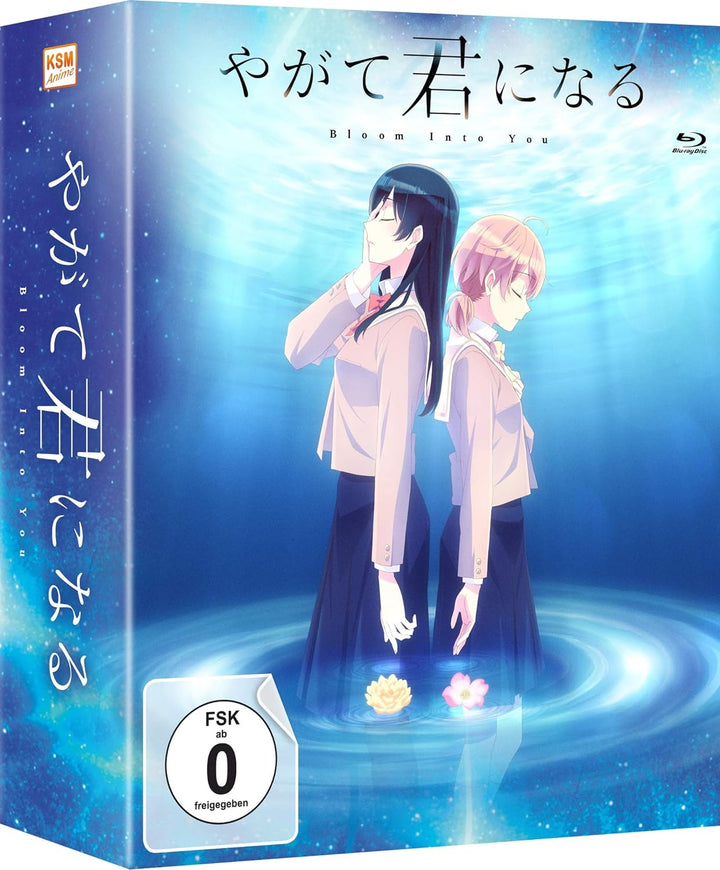 Bloom Into You - Volume 3 (Episode 9-13) im Sammelschuber [Blu-ray], Blu-ray