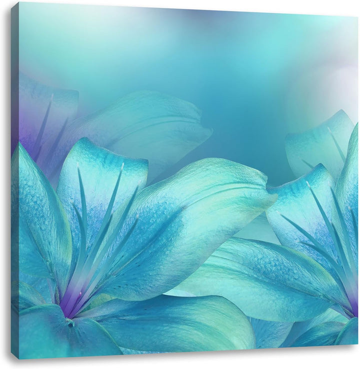 Pixxprint türkise Lilien, Format: 70x70 auf Leinwand, XXL riesige Bilder fertig gerahmt mit Keilrahm