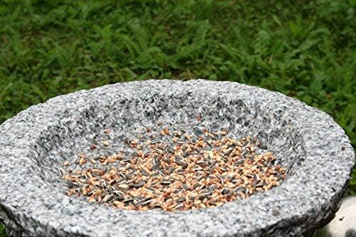 Gebrüder Lomprich Vogelbad aus Granit 10 cm hoch - Vogeltränke mit 2 Liter Fassungsvermögen auch für