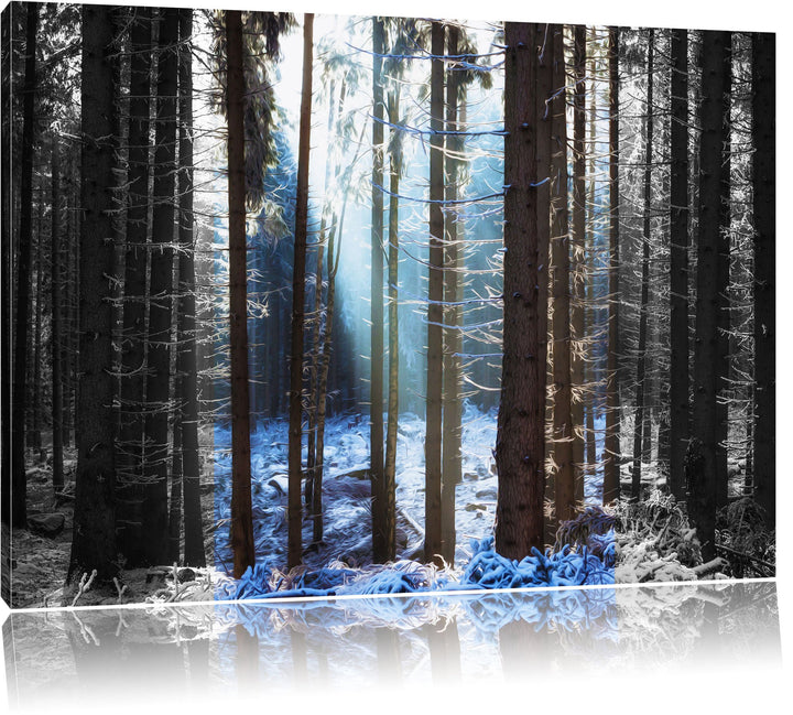 Sonnenschein im Winterwald schwarz/weiss Format: 100x70 auf Leinwand, XXL riesige Bilder fertig gera
