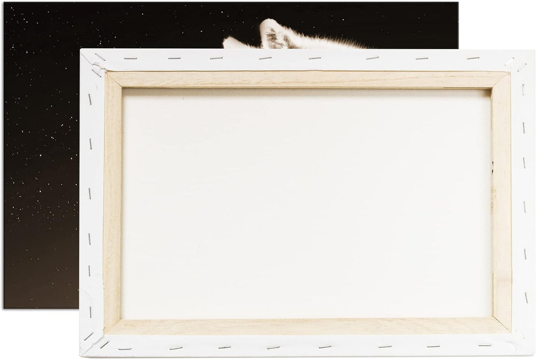 deyoli einsamer stolzer Wolf Format: 80x60 Effekt: Sepia als Leinwandbild, Motiv fertig gerahmt auf