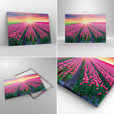 Bilder auf Leinwand 100x70cm Leinwandbild Wiese Tulpen Sonnenuntergang Frühling Gross Wanddeko Bild