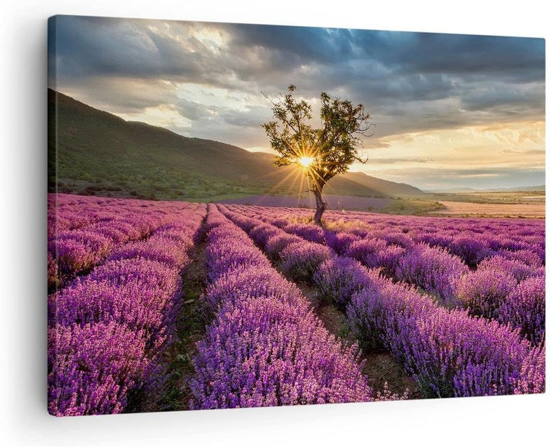 Bilder auf Leinwand Lavendel Berge Feld Leinwandbild mit Rahmen 70x50cm Wandbilder Dekoration Wohnzi