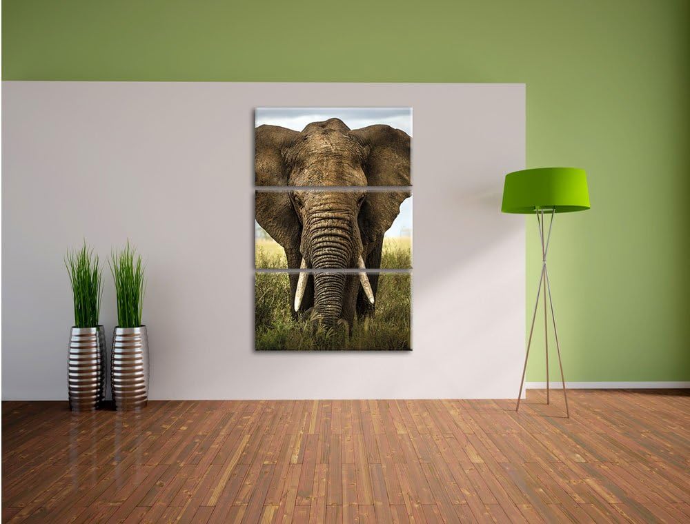 Pixxprint Imposanter Elefant als Leinwandbild/Grösse: 3 Teilig (120x80) cm/Wandbild/Kunstdruck/ferti
