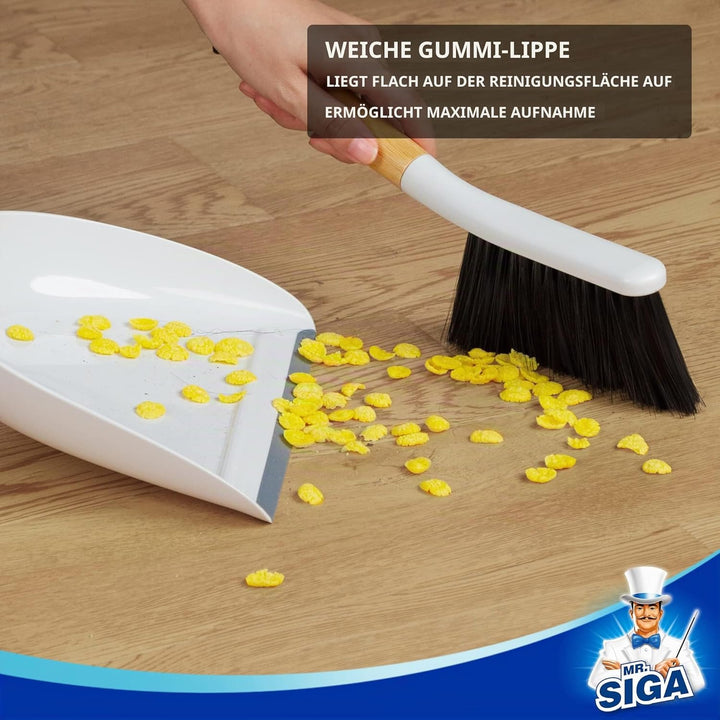 MR.SIGA Schaufel und Besen Set, Kehrblech und Handfeger Besen mit Kehrschaufel mit Bambusgriff, Kehr