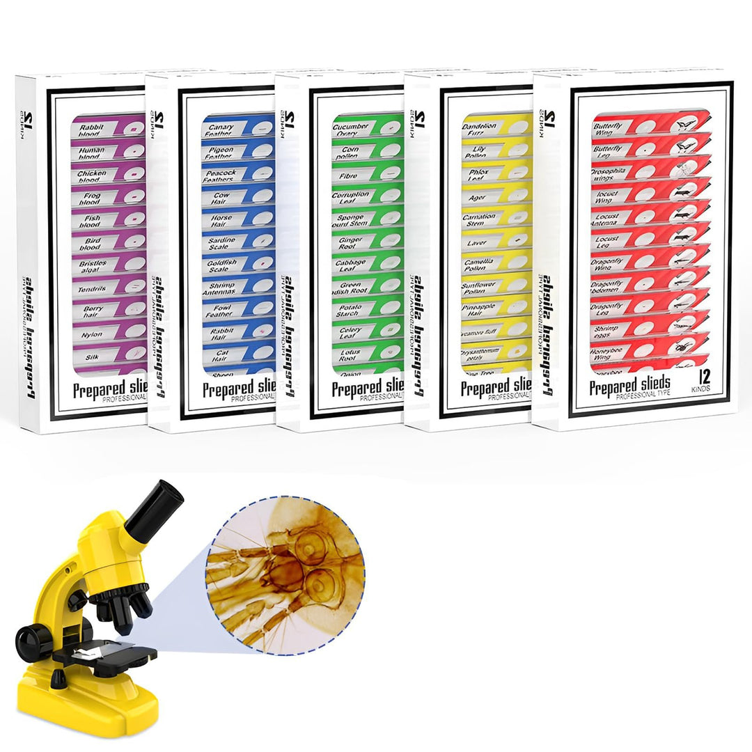 Ninyoon 60pcs Mikroskop Objektträger mit Proben für Kinder - Kinder präpariert Mikroskop Objektträge