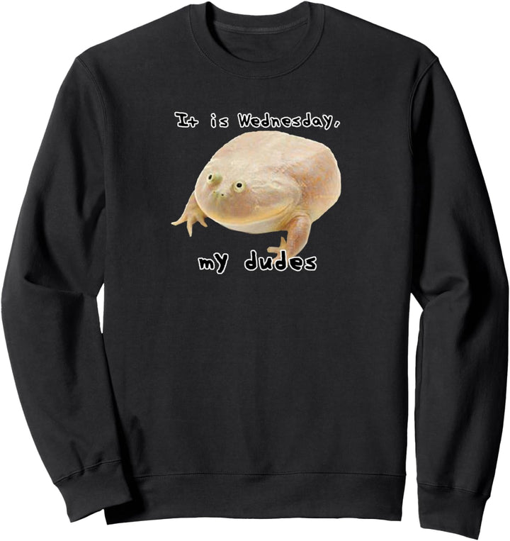 It is Wednesday My Dudes Funny Edgy Frog Meme Sweatshirt