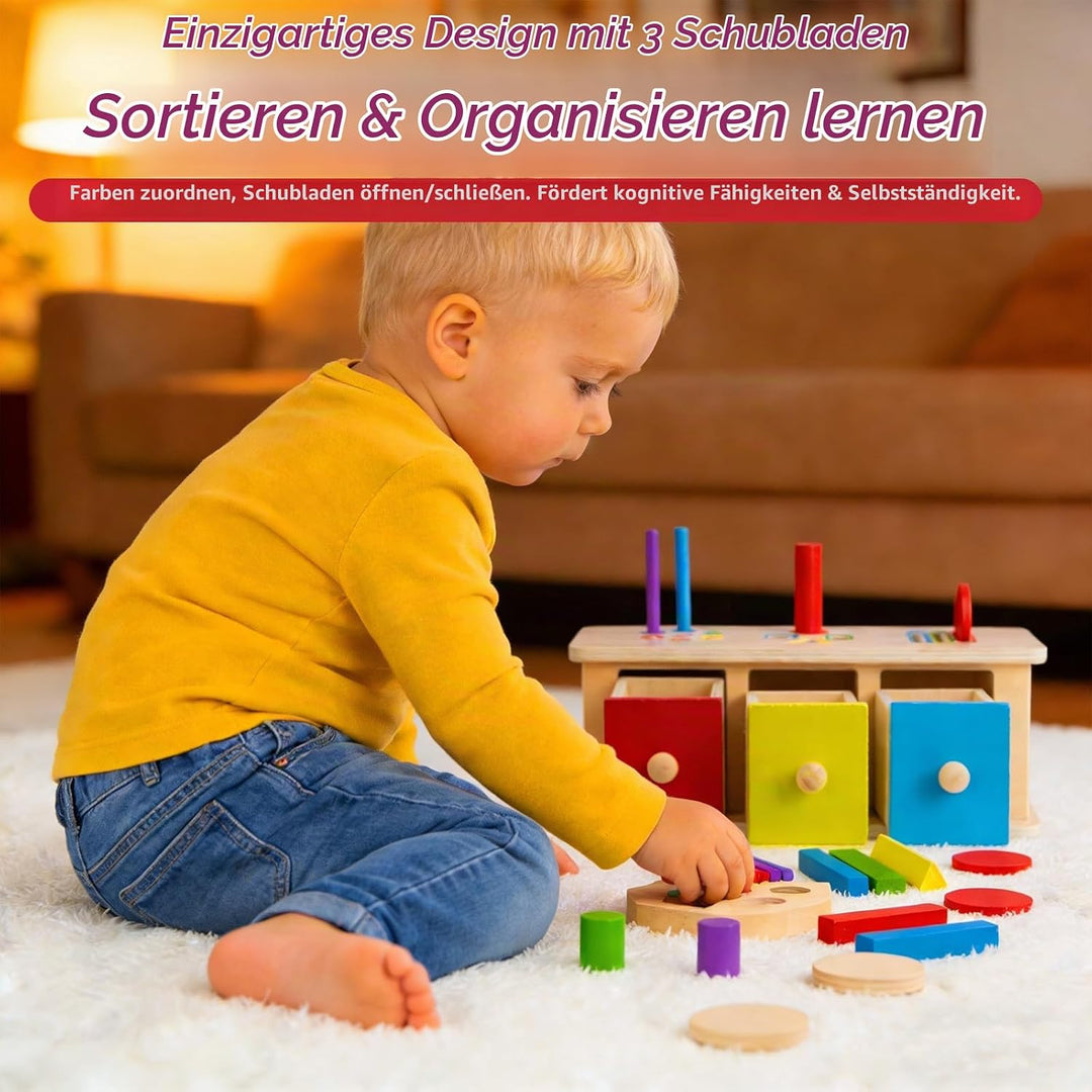 Montessori Spielzeug ab 1 Jahr Mädchen Jungen, Holzspielzeug ab 1 Jahr, Motorik Spielzeug &amp; Steckspi