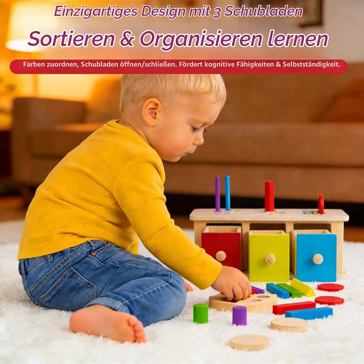 Montessori Spielzeug ab 1 Jahr Mädchen Jungen, Holzspielzeug ab 1 Jahr, Motorik Spielzeug &amp; Steckspi