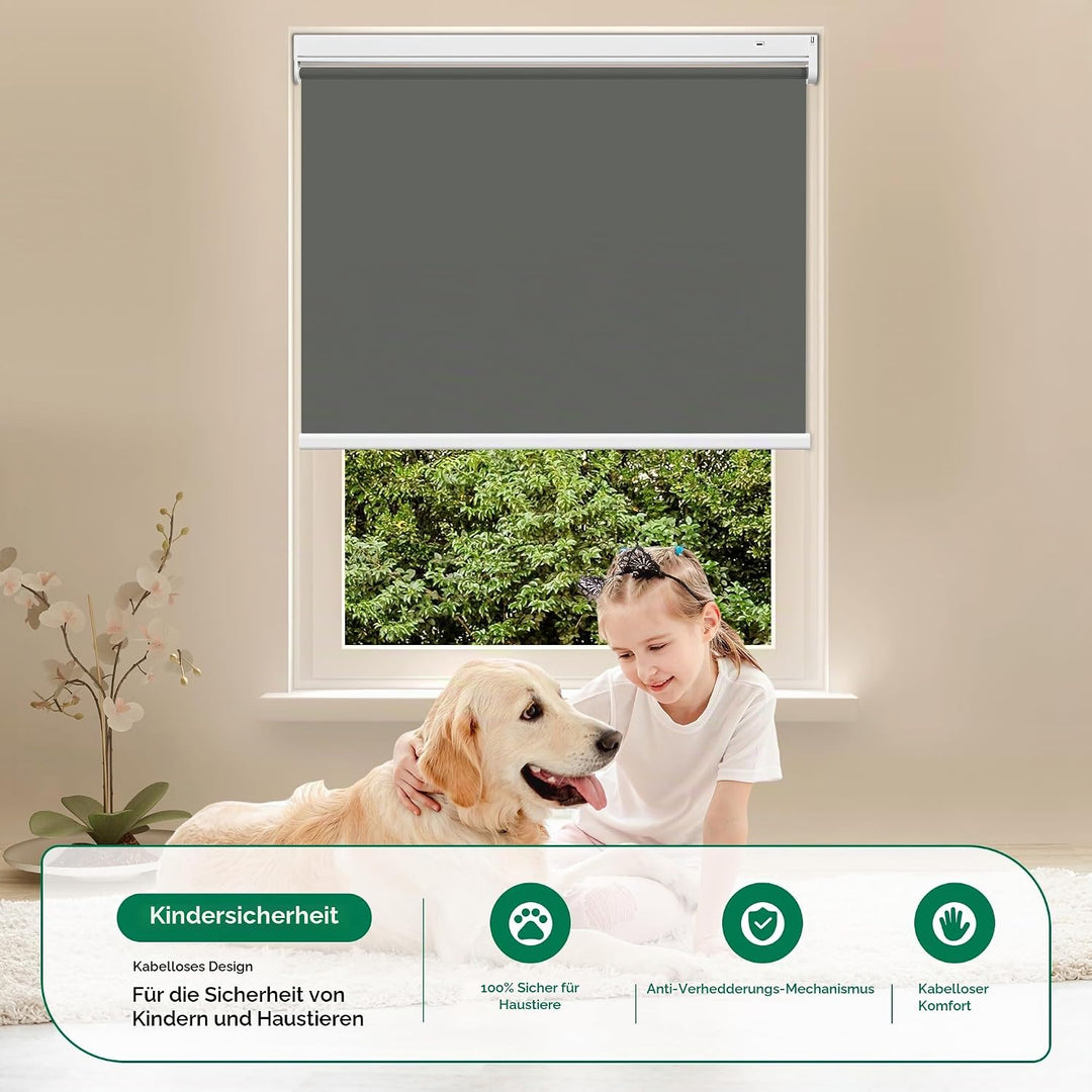 Allesin Wiederaufladbare Verdunklungsrollo ohne Bohren, (45x100cm,Anthrazit) Elektrische Rollo Innen