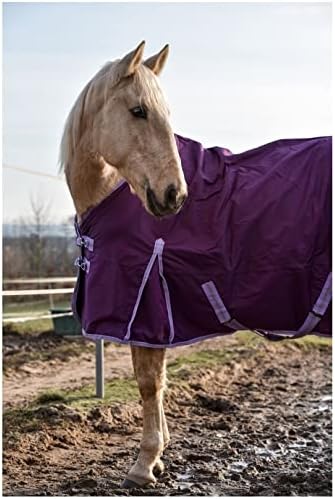 RL24 - Winterdecke 300g Füllung 600D BASICLINE lila 95cm Lila (Altes Modell) 95cm (300g/m² Füllung),