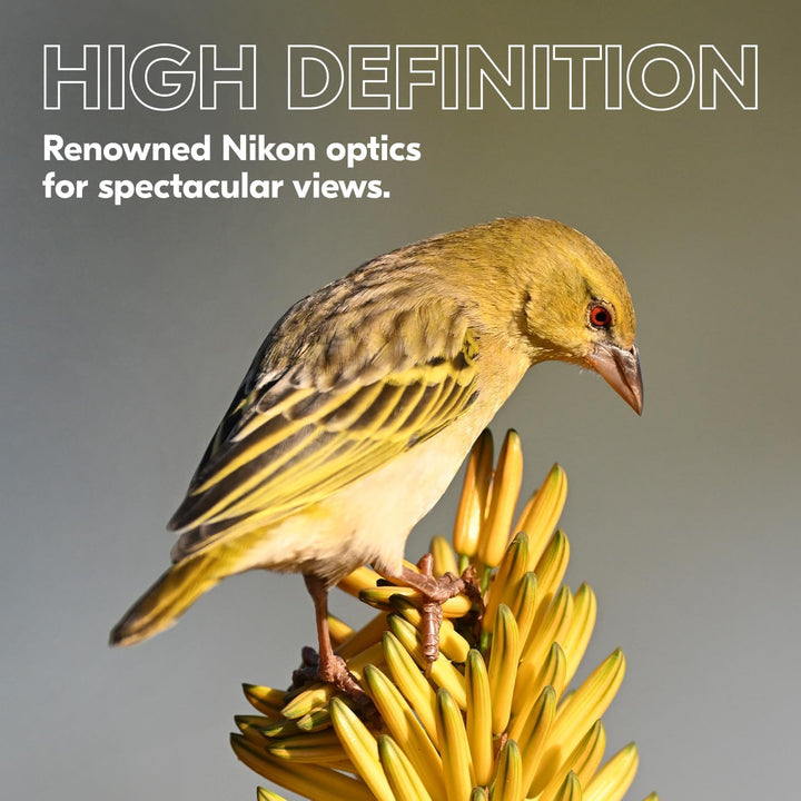 PROSTAFF P3 10x30, PROSTAFF P3 10x30