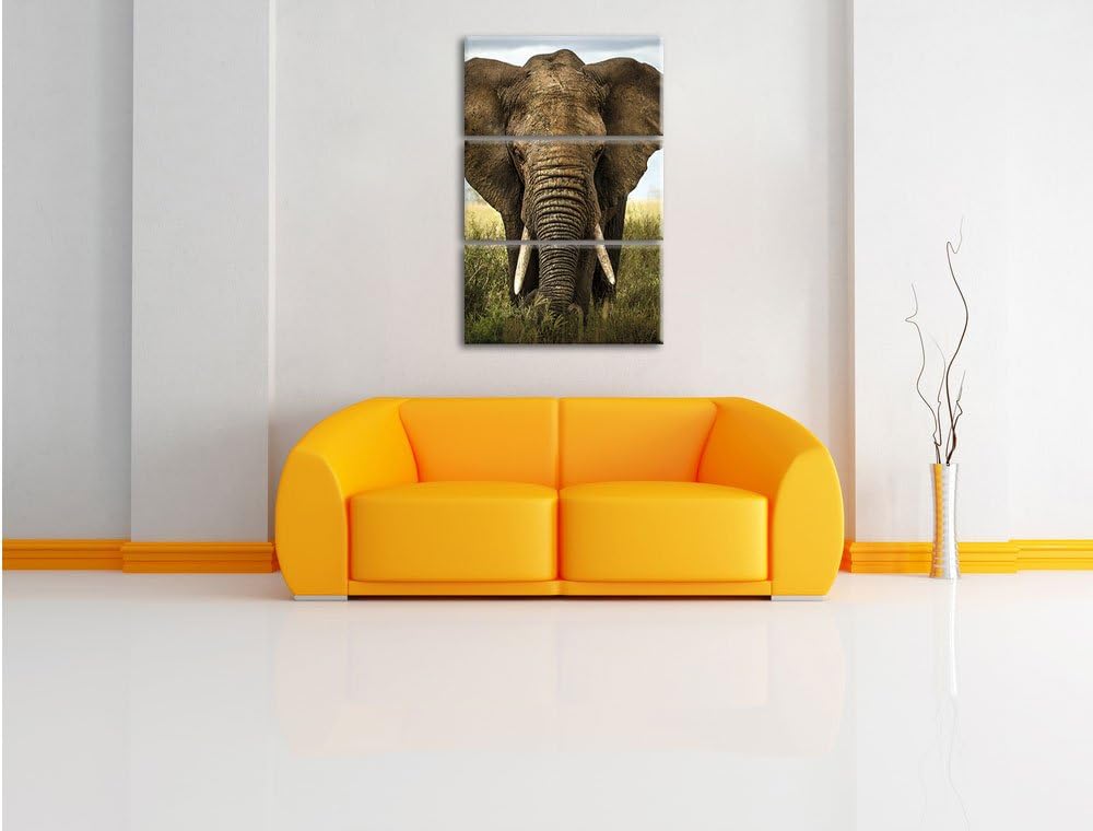 Pixxprint Imposanter Elefant als Leinwandbild/Grösse: 3 Teilig (120x80) cm/Wandbild/Kunstdruck/ferti