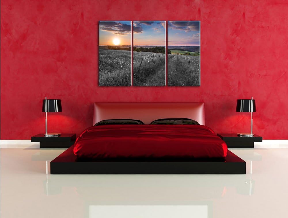Pixxprint Bergwiese im Sonnenaufgang als Leinwandbild/Grösse: 3 Teilig (120x80) cm/Wandbild/Kunstdru