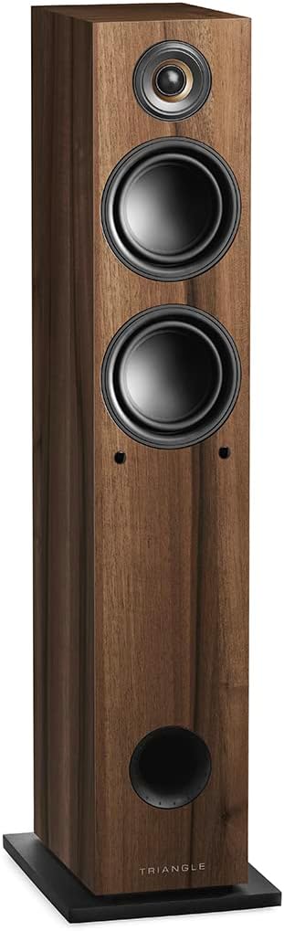 TRIANGLE - Aktivlautsprecher LN05A - Bluetooth Standlautsprecher mit Verstärker 2 x 80W - HD Audio -