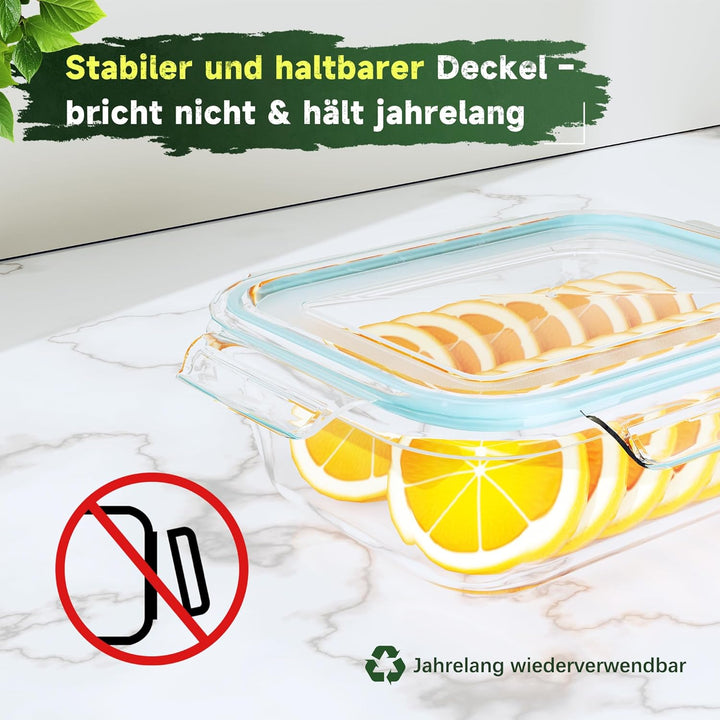 Glasbehälter mit Deckel 4er Set | Borosilikatglas Frischhaltedosen Luftdicht & Auslaufsicher | Vorra