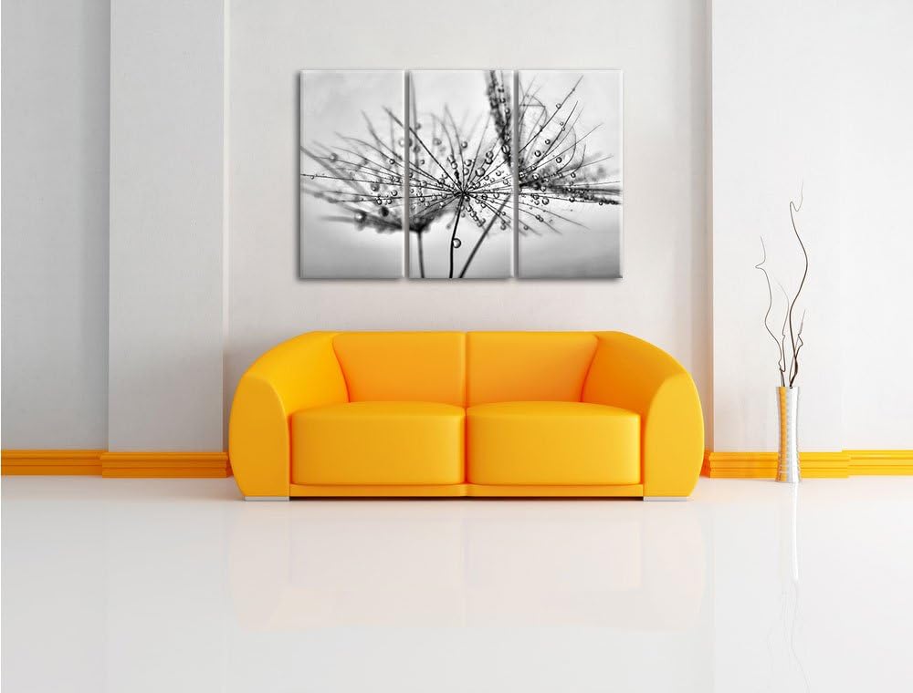 Pixxprint Pusteblume bedeckt mit Tropfen als Leinwandbild/Grösse: 3 Teilig (120x80) cm/Wandbild/Kuns