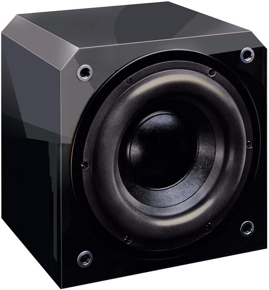 Sunfire HRS10 25,4 cm Hohe Auflösung Subwoofer