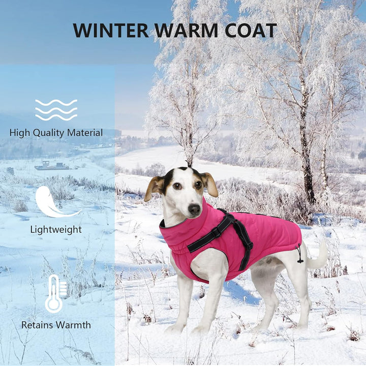 Pethiy -Super Warm Hunde wintermäntel mit Geschirr, Hundejacke mit Innenfleece, wasserdichte Kleine