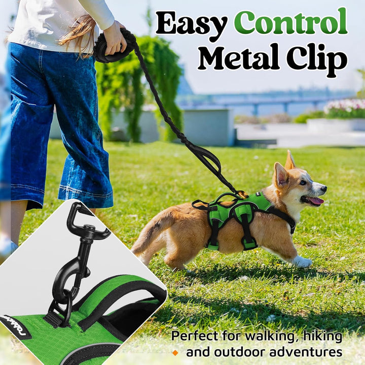 rabbitgoo Ausbruchsichere Hundegeschirr Kleine Hunde mit Griff, Anti Zug Sicherheitsgeschirr Hund At