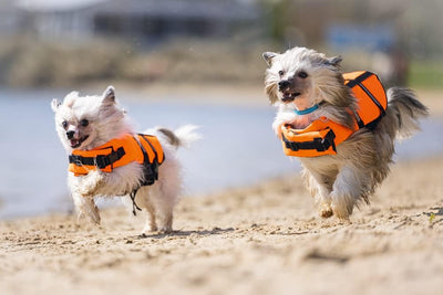 Karlie 503061 Aqua Top Hunde Schwimmweste, XL, orange orange XL, orange XL