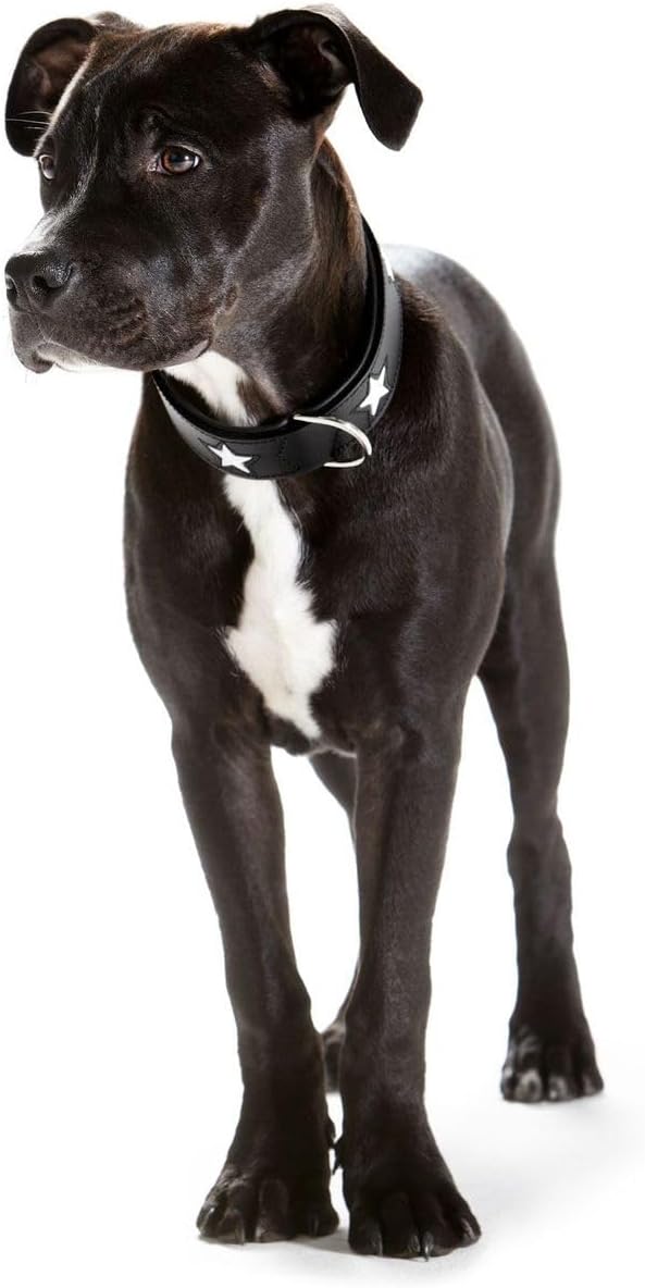 HUNTER MAGIC STAR Hundehalsband, mit Sternen, Leder, weich, 37 (XS-S), schwarz schwarz 37 (XS-S), sc