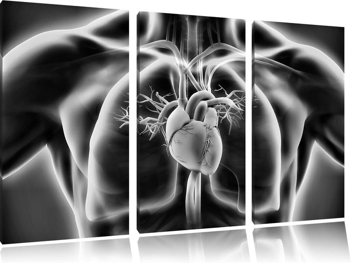 Pixxprint Herz des Menschen als Leinwandbild/Grösse: 3 Teilig (120x80) cm/Wandbild/Kunstdruck/fertig