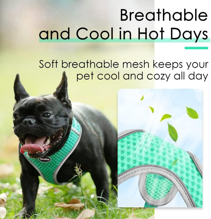 ThinkPet No-Pull Hundegeschirr Leine Set, Atmungsaktiv Brustgeschirr für Kleine Mittlere Grosse Hund