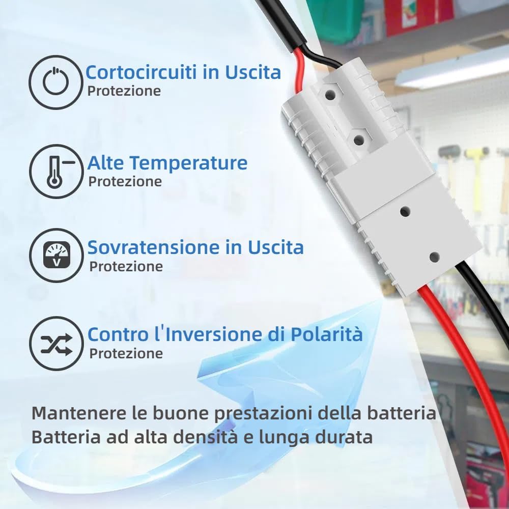 Redodo 14,6V 10A Lifepo4 Batterieladegerät für Lithium-Eisenphosphat-Batterien, unterstützt schnelle