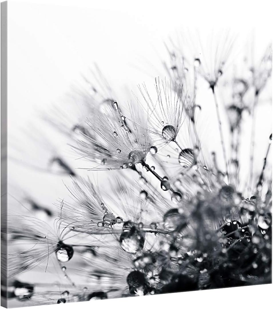 ge Bildet Bild auf Leinwand | another world - schwarz weiss - Blumen Natur Pusteblume H in 50x50 cm