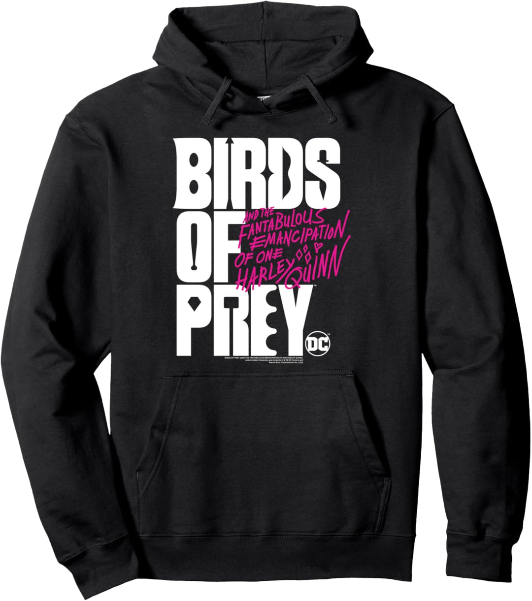Birds of Prey Large Logo Pullover Hoodie