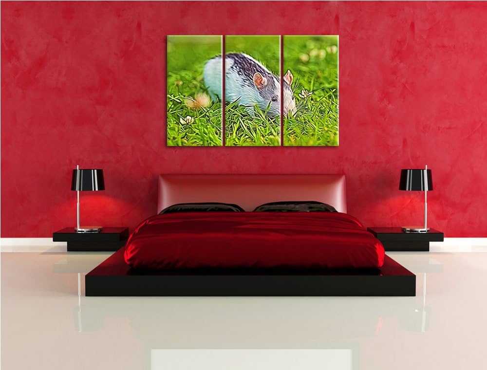 kleine Maus auf Blumenwiese NewArt 3-Teiler Leinwandbild 120x80 Bild auf Leinwand, XXL riesige Bilde